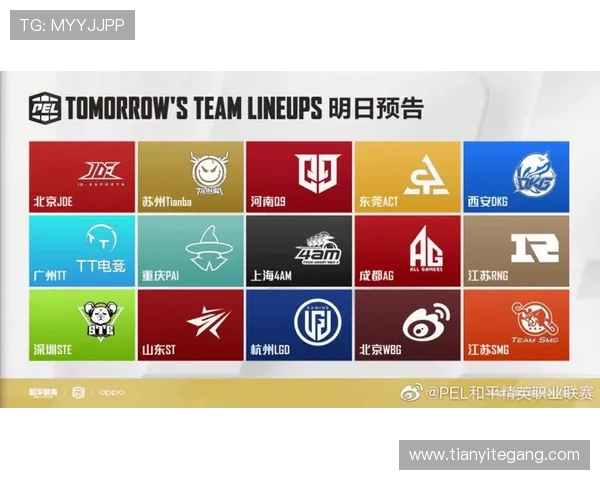 和平精英战术分析：深入解读RNG团队包夹战术的成功之道